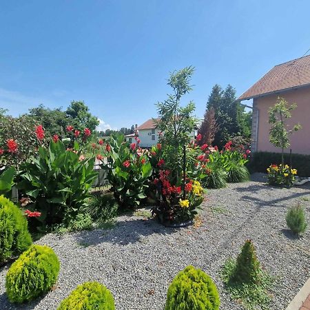 B&B Majhen Kopacevo エクステリア 写真
