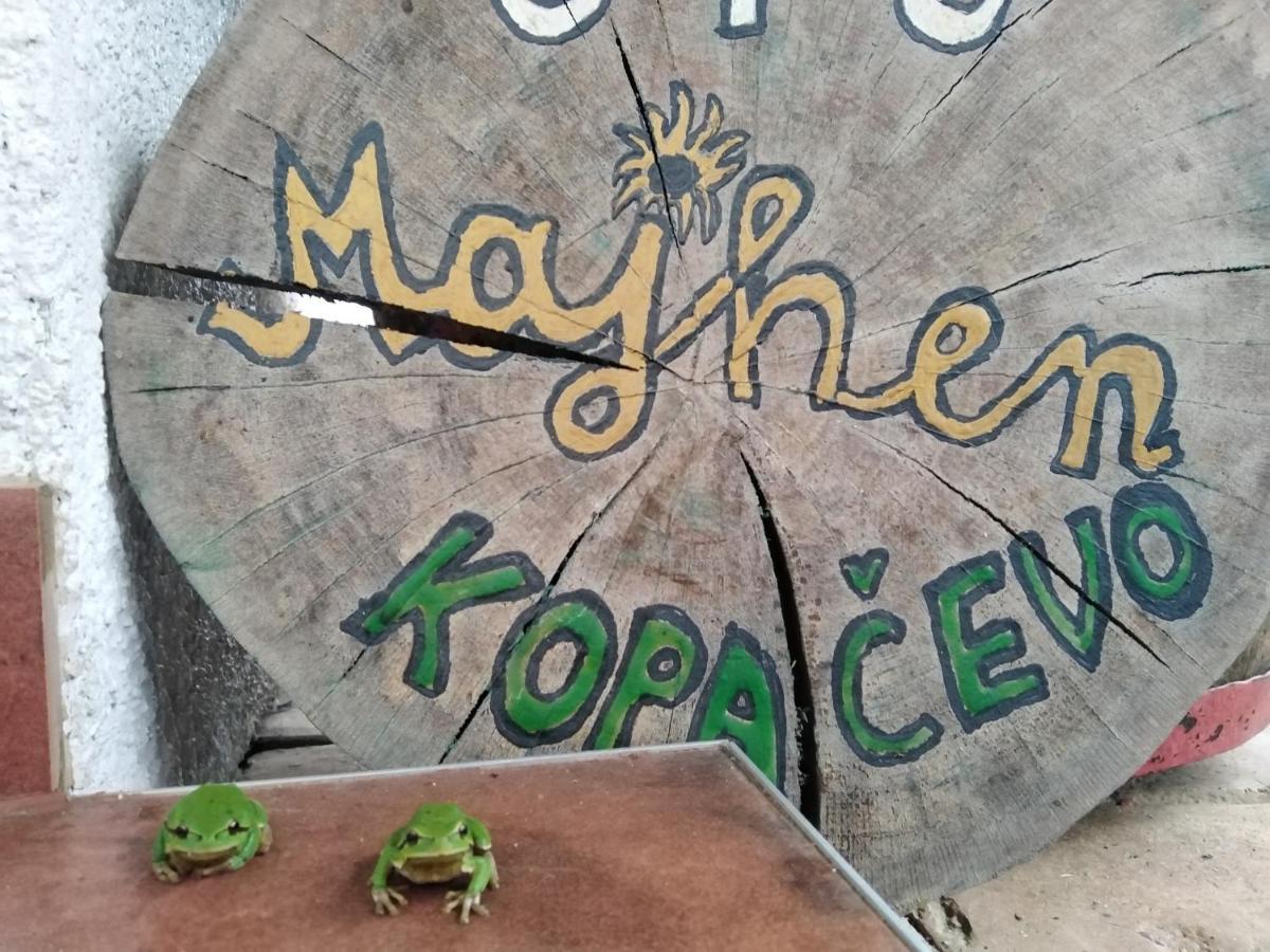 B&B Majhen Kopacevo エクステリア 写真
