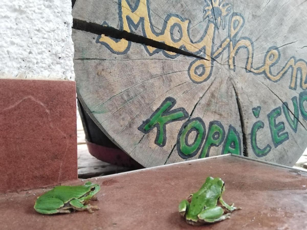 B&B Majhen Kopacevo エクステリア 写真