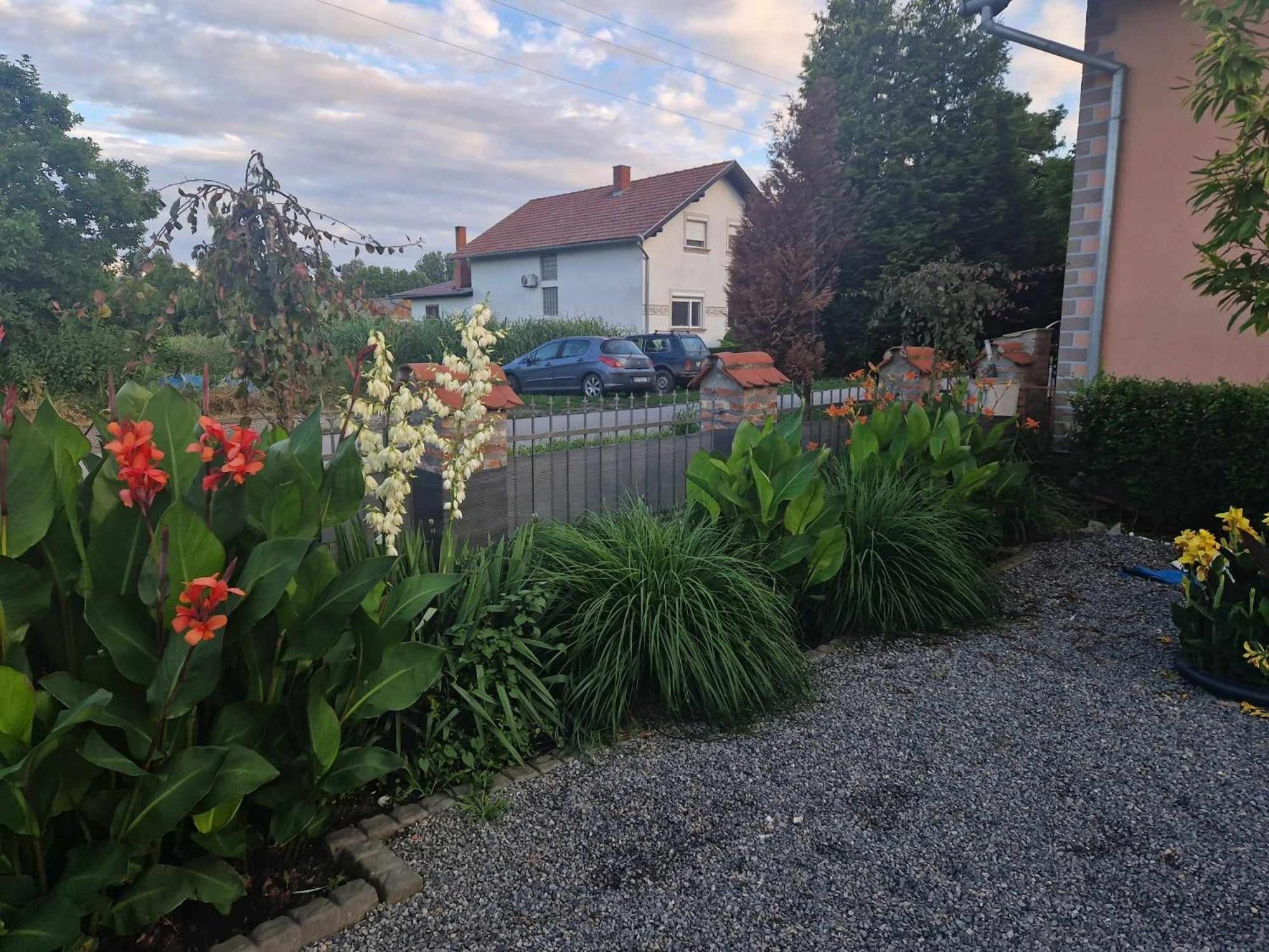 B&B Majhen Kopacevo エクステリア 写真