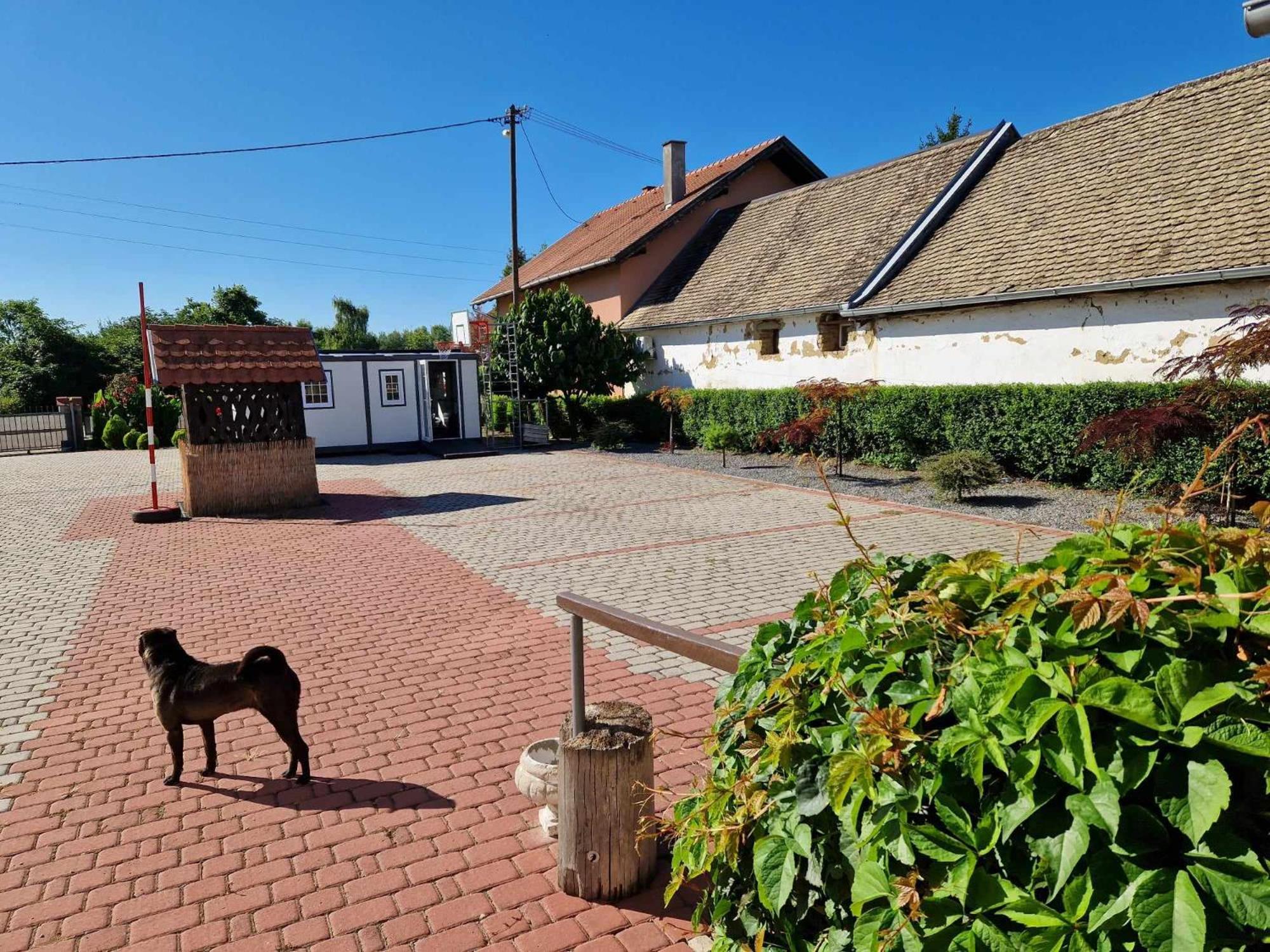B&B Majhen Kopacevo エクステリア 写真