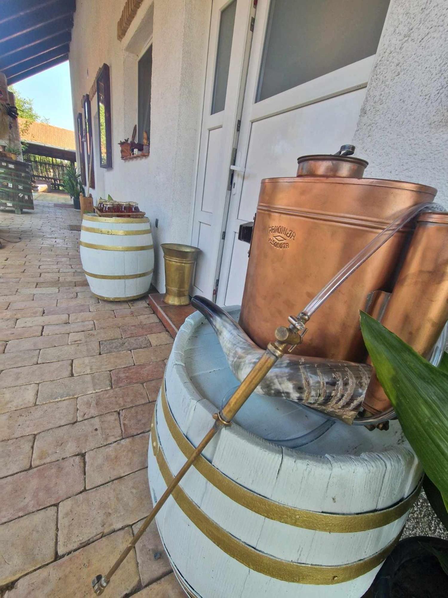 B&B Majhen Kopacevo エクステリア 写真