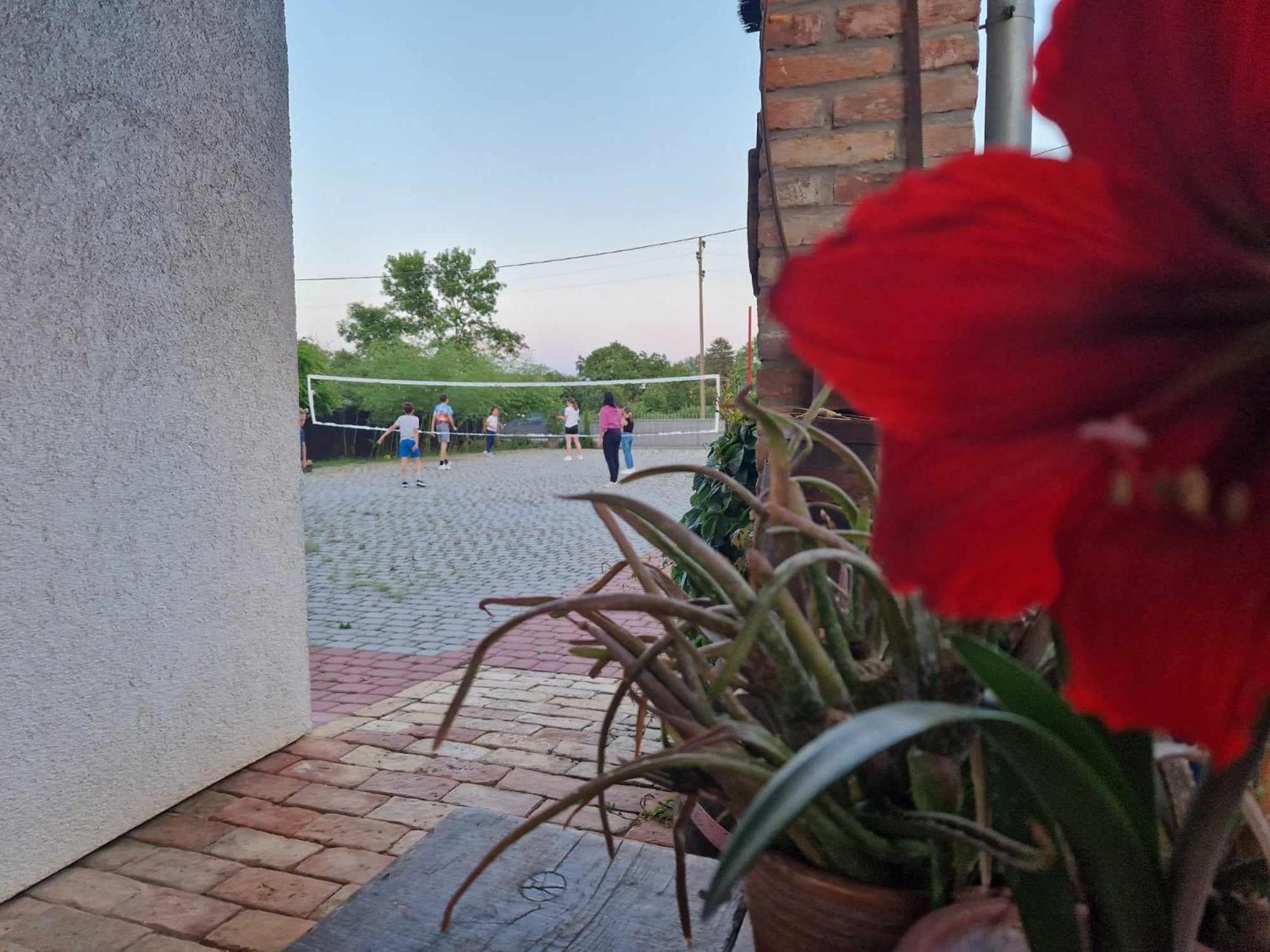 B&B Majhen Kopacevo エクステリア 写真